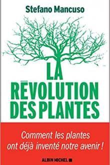 Article cover