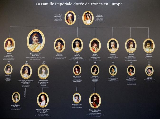 arbre généalogique histoire AFP